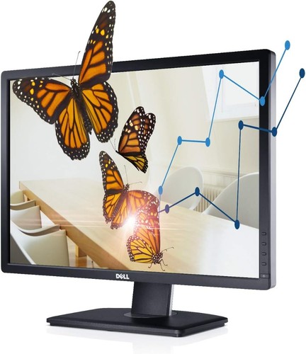 Dell ultrasharp u2412m - dell, inch